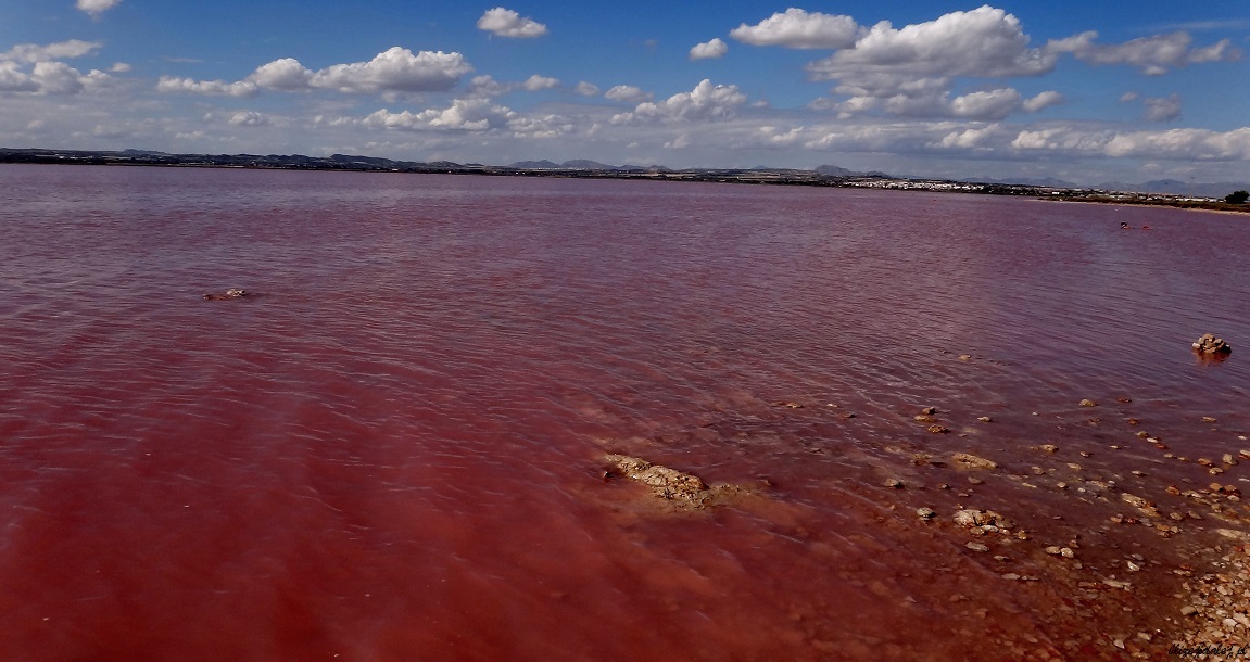 Różowe jezioro Torrevieja na Costa Blanca