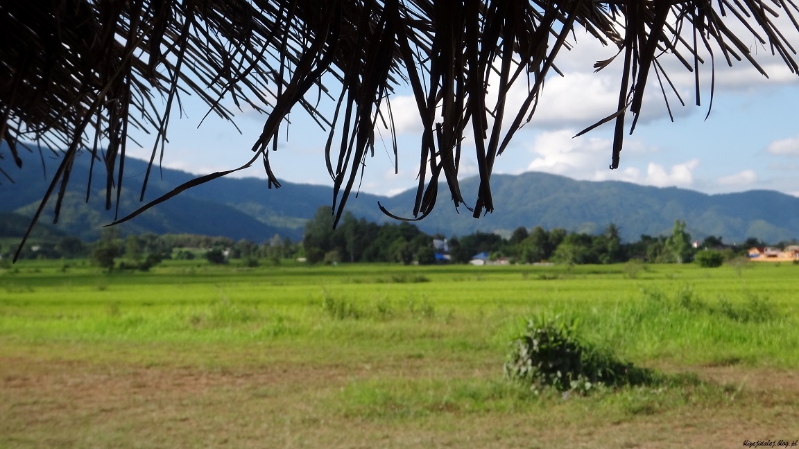 Co zwiedzić w Chiang Rai i okolicy