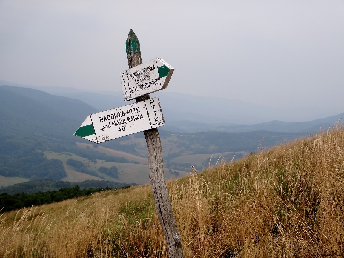 A może w… Bieszczady!