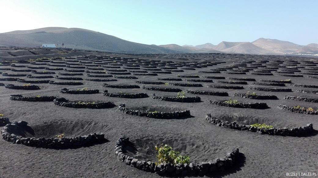 Winnice La Geria, Lanzarote